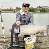 Cần Tay Bamboo Chiến Mã II PRO