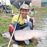 Cần Tay Bamboo Chiến Mã II PRO