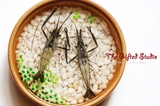 Shrimp Resin Art, resin painting for sale, acrylic painting