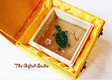 Lovely sea turtle resin painting in the wooden box resin art, 3d painting