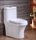 BỒN CẦU 1 KHỐI LANKA MÃ C8813