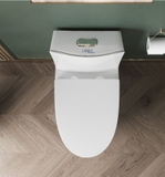 Bồn cầu khối xả xoáy mã AZ06