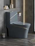 BỒN CẦU 1 KHỐI MÃ C8007E LANKA [Xám Viền Vàng]