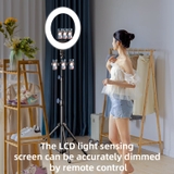 https://chube.vn/den-livestream-rtako-ar-gtb01-ring-light-18-22-inches-ring-light-with-3-phone-holders
