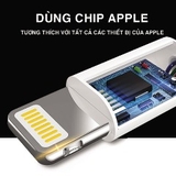 Cáp sạc Lightning Bagi MFI-n100