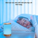 https://chube.vn/den-ngu-led-di-dong-doi-mau-taotronics-tt-dl033-pin-4000mah-anh-sang-360-do