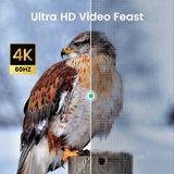 https://chube.vn/cap-chuyen-micro-hdmi-type-d-sang-hdmi-type-a-ugreen-hd127