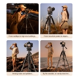 https://chube.vn/chan-de-chuyen-nghiep-cho-may-anh-dien-thoai-rtako-vt-860s-1-7m-hexagonal-photography-tripod
