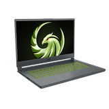 Laptop MSI Delta 15 A5EFK 071VN