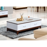 Bàn Sofa Khung thép BSF17