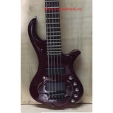 Đàn Guitar Bass 5 dây TRABEN NEO LIMITED