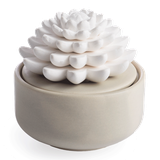 Lọ gốm trang trí tỏa hương - Succulent Porcelain Diffuser