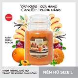 Nến thơm Yankee Candle, Nến hũ size L, Mùi Farm Fresh Peach