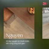 Gạch vân gỗ YOKDON