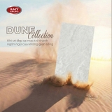 DUNE COLLECTION