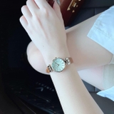 ĐỒNG HỒ NÂU AK LIMIT CASE 26MM 10/9442CHHY