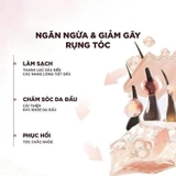 SET 5 CHAI GỘI + 5 CHAI XẢ L'OREAL 100ML