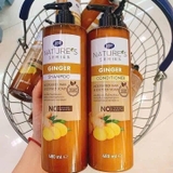 CẶP GỘI XẢ GỪNG THÁI NATURE'S 480ML