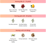 NƯỚC HOA VALENTINO DONNA BORN IN ROMA 10ML