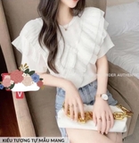ÁO BÈO MNG 77025952