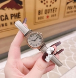 ĐỒNG HỒ AK LA MÃ GHI XÁM AK/2246RGTP