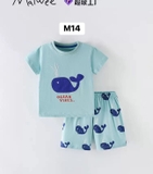 SET BỘ KID MALWEE NHIỀU MẪU GB31701-2015 (M1-M19)