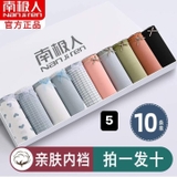 QUẦN CHIP NANJIREN  10 MẪU