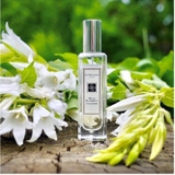NƯỚC HOA JO MALONE WILD BLUEBELL 30ML CÓ TEM PHỤ