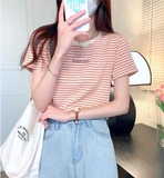 ÁO PHÔNG SỌC ĐỎ MNG 37010000