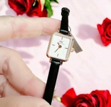 ĐỒNG HỒ DW QUADRO MINI DW00100728