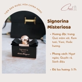 NƯỚC HOA SIGNORITA MISTERIOSA ĐEN