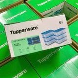 SET 6 HỘP TRỮ ĐÔNG TUPPERWARE 1.7L