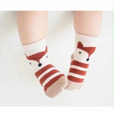 SET 5 ĐÔI TẤT KIDS IN HÌNH CON VẬT