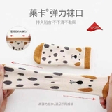 SET 5 ĐÔI TẤT KIDS IN HÌNH CON VẬT