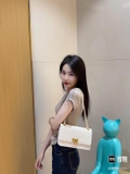 TÚI DẠ TRẮNG CNK CK2-20840464-10