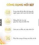 TINH CHẤT DƯỠNG ẨM PHỤC HỒI & TRẺ HOÁ DA OH!OH! HA & PROTEOGLYCANS AMBER  30ML FULLBOX DATE 11/2026