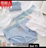 SET CHIP NỮ NAN.JIREN 5C