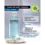 TONER TORRIDEN DIVE IN 300ML FULLBOX
