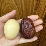 TÁO ĐỎ TÂN CƯƠNG DELI HỘP 1KG KÈM TÚI