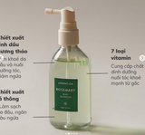 XỊT DƯỠNG CHÂN TÓC HƯƠNG THẢO ROSEMARY ROOT ENHANCER AROMATICA 100ML