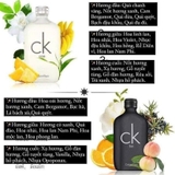 NƯỚC HOA CK EDT 100ML 2 MÀU FULLBOX