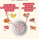 MÁY XAY THỰC PHẨM BEAR