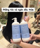 CẶP GỘI XẢ BATIOUS 3 MÀU 960ML
