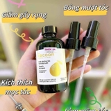 XỊT BƯỞI KÍCH THÍCH MỌC TÓC COCOON