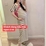 VÁY LEN POLO CACHE KẺ NGANG