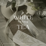NƯỚC HOA ELIZABETH ARDEN WHITE TEA EDT 10ML