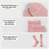 SET 5 ĐÔI TẤT CỔ CAO REEBOK NỮ RBA5DMA081
