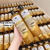 CẶP GỘI XẢ GỪNG THÁI NATURE'S 480ML