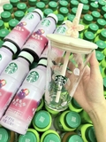 COMBO 6 TRÀ + LY THỦY TINH CÙNG LOẠI