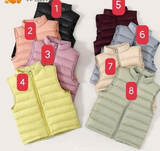 ÁO GILE PP ELEPHANT 8 MÀU M26